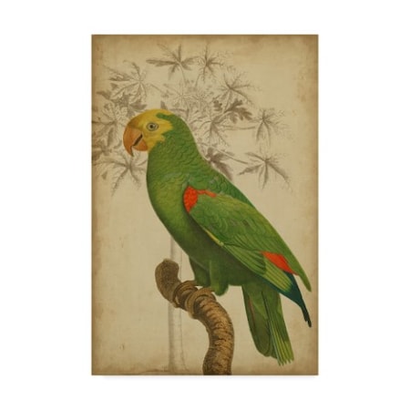 Vision Studio 'Parrot And Palm Iii' Canvas Art,22x32